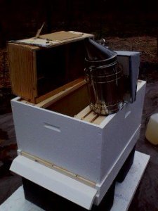 hive with crate